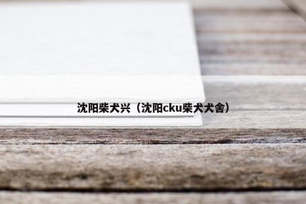 沈阳柴犬兴（沈阳cku柴犬犬舍）