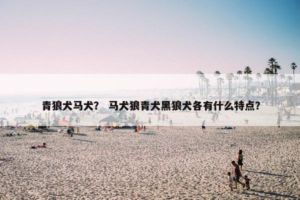 青狼犬马犬? 马犬狼青犬黑狼犬各有什么特点?