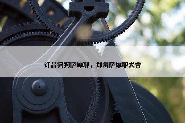 许昌狗狗萨摩耶，郑州萨摩耶犬舍