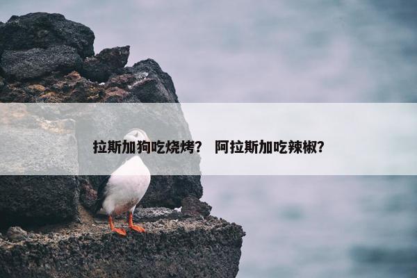 拉斯加狗吃烧烤？ 阿拉斯加吃辣椒？