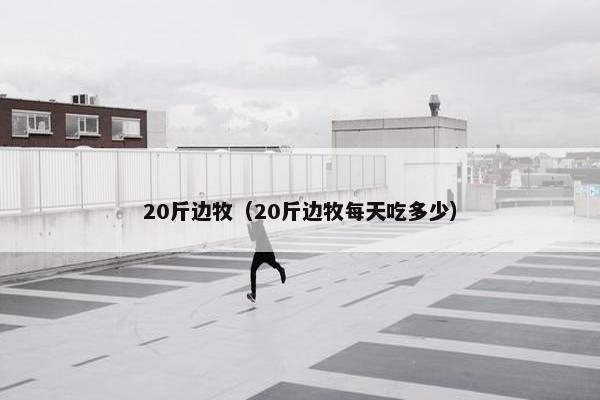 20斤边牧（20斤边牧每天吃多少）