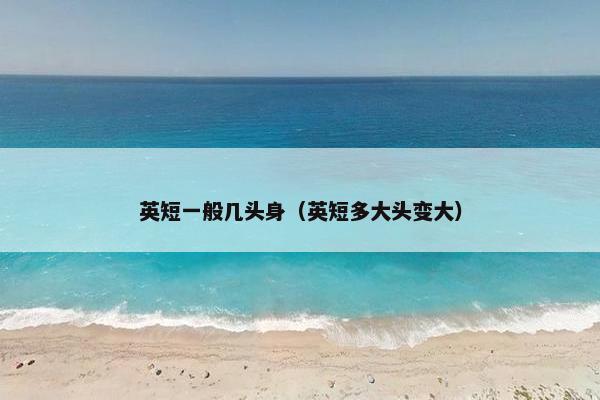 英短一般几头身（英短多大头变大）