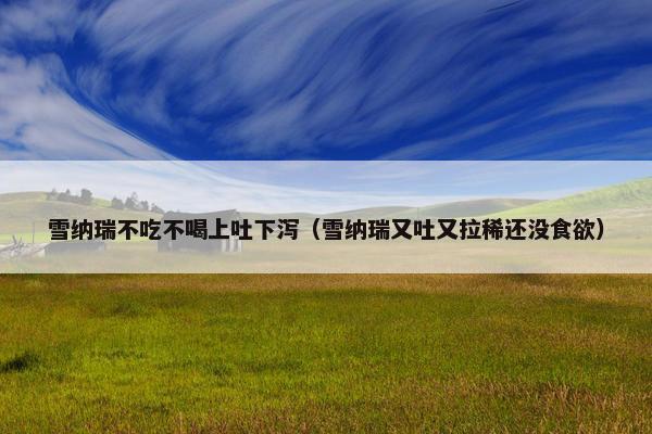 雪纳瑞不吃不喝上吐下泻（雪纳瑞又吐又拉稀还没食欲）
