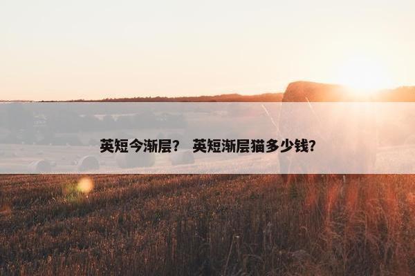 英短今渐层？ 英短渐层猫多少钱？