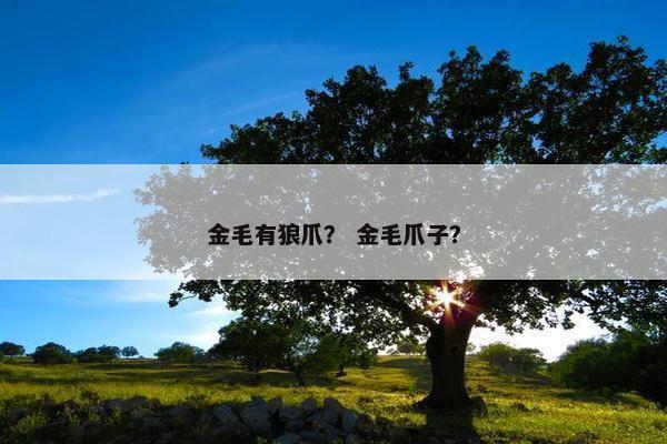 眼白