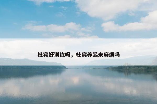 杜宾好训练吗，杜宾养起来麻烦吗