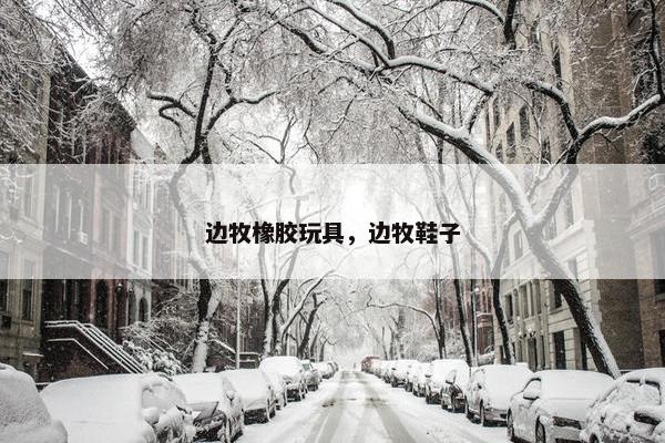 边牧橡胶玩具，边牧鞋子