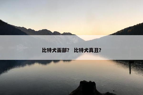 比特犬面部？ 比特犬真丑？