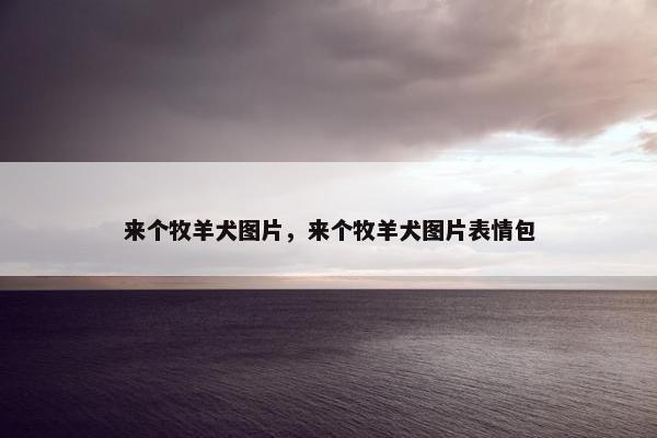 来个牧羊犬图片,来个牧羊犬图片表情包