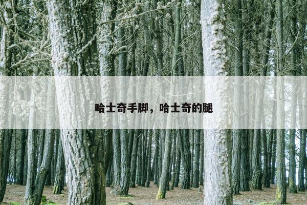 哈士奇手脚，哈士奇的腿