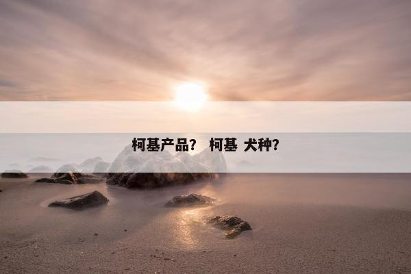 柯基产品？ 柯基 犬种？