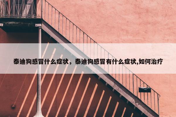 泰迪狗感冒什么症状，泰迪狗感冒有什么症状,如何治疗