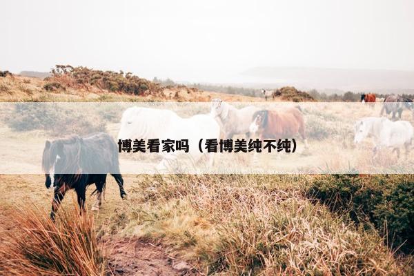 博美看家吗(看博美纯不纯)