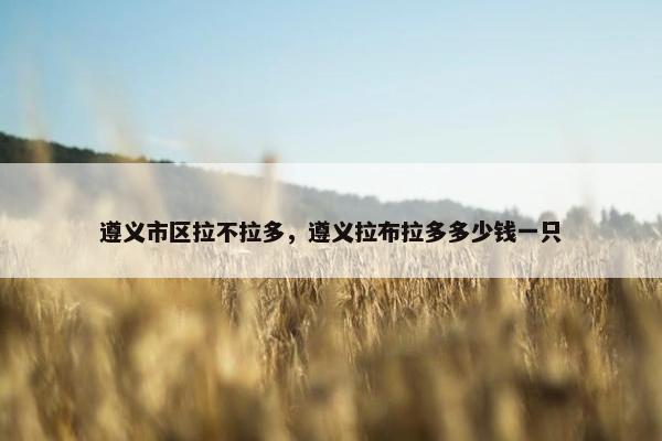遵义市区拉不拉多，遵义拉布拉多多少钱一只