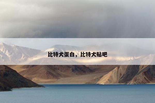 比特犬蛋白，比特犬贴吧