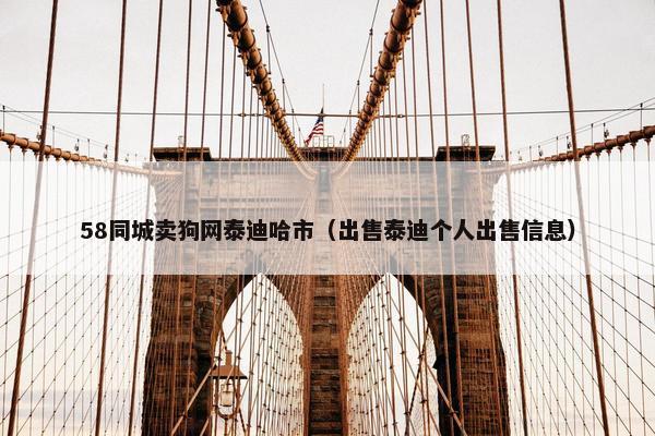 58同城卖狗网泰迪哈市（出售泰迪个人出售信息）