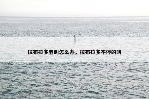 拉布拉多老叫怎么办，拉布拉多不停的叫