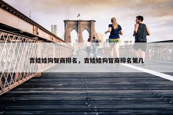 吉娃娃狗智商排名，吉娃娃狗智商排名第几