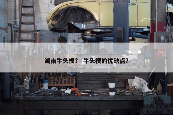 湖南牛头梗？ 牛头梗的优缺点？