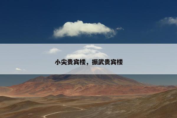 小尖贵宾楼，振武贵宾楼