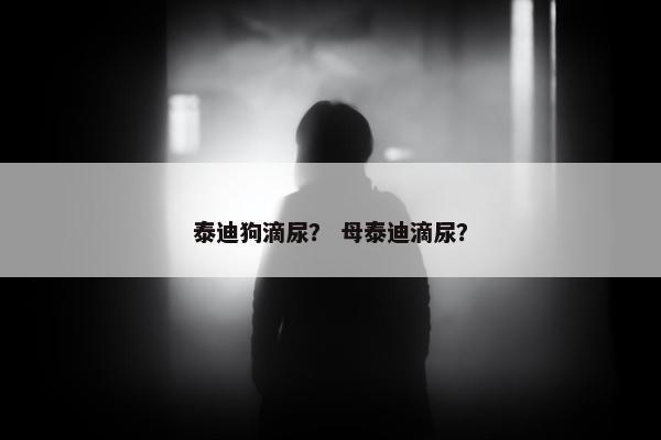 泰迪狗滴尿？ 母泰迪滴尿？