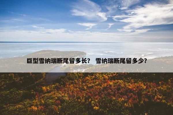 巨型雪纳瑞断尾留多长？ 雪纳瑞断尾留多少？