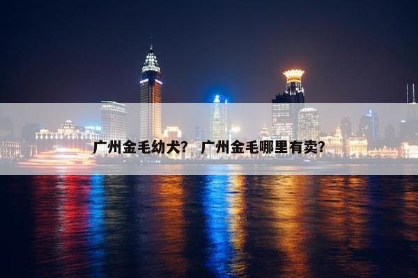 广州金毛幼犬？ 广州金毛哪里有卖？