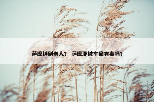 萨摩绊倒老人？ 萨摩耶被车撞有事吗？