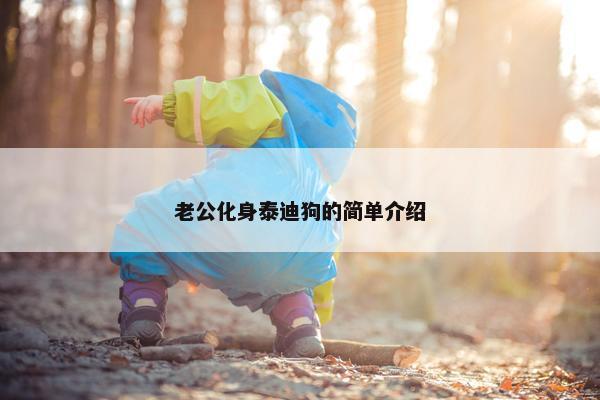 老公化身泰迪狗的简单介绍