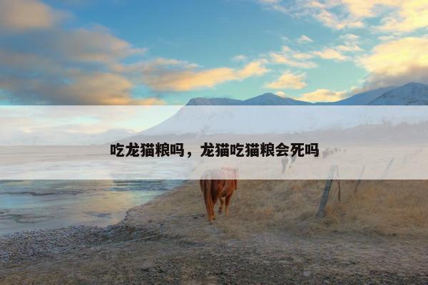 吃龙猫粮吗，龙猫吃猫粮会死吗