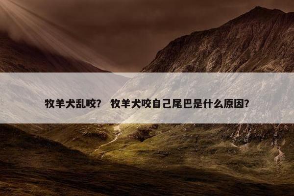 牧羊犬乱咬？ 牧羊犬咬自己尾巴是什么原因？