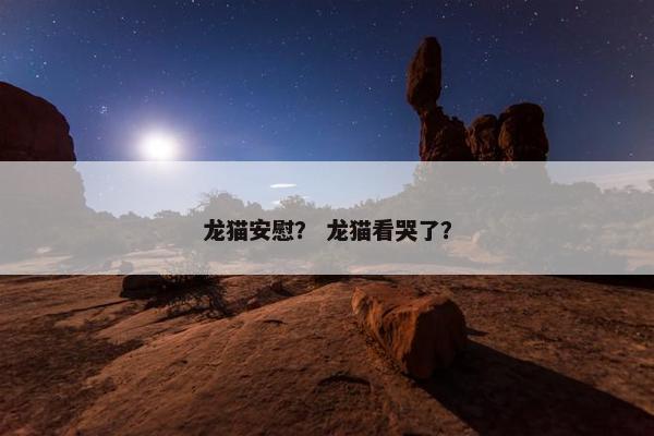 龙猫安慰？ 龙猫看哭了？