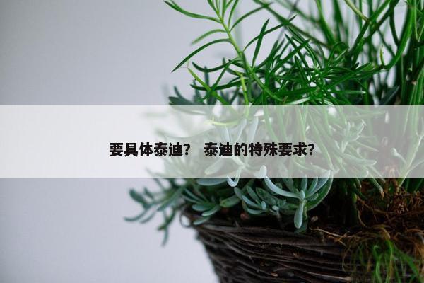 要具体泰迪？ 泰迪的特殊要求？