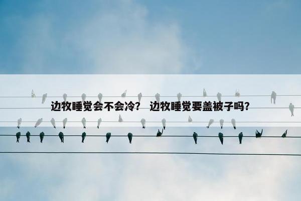 边牧睡觉会不会冷? 边牧睡觉要盖被子吗?