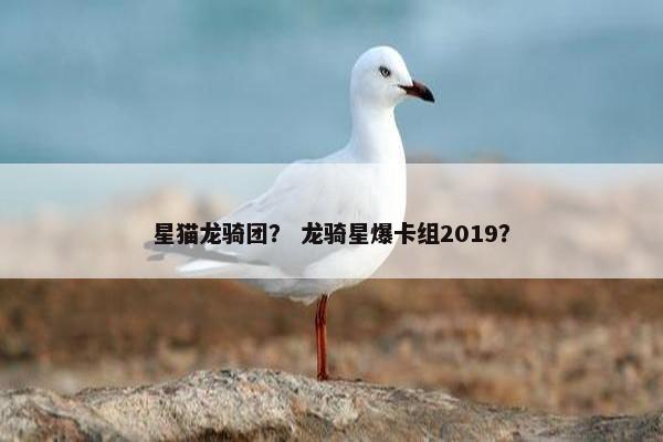 星猫龙骑团？ 龙骑星爆卡组2019？