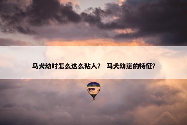 马犬幼时怎么这么粘人？ 马犬幼崽的特征？