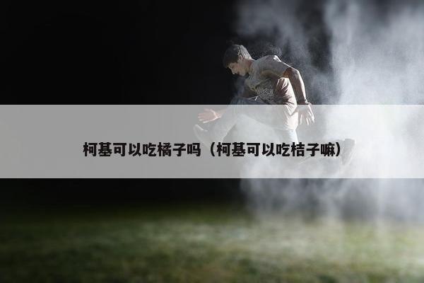 柯基可以吃橘子吗（柯基可以吃桔子嘛）