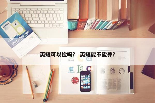 英短可以捡吗? 英短能不能养?