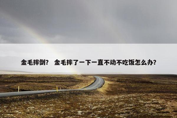 金毛摔倒? 金毛摔了一下一直不动不吃饭怎么办?