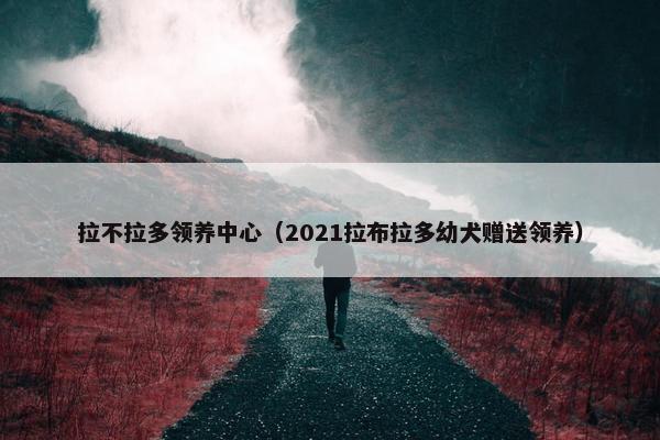 拉不拉多领养中心（2021拉布拉多幼犬赠送领养）