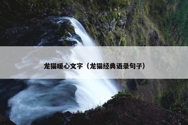 龙猫暖心文字（龙猫经典语录句子）