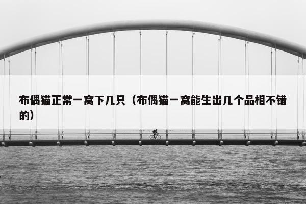 布偶猫正常一窝下几只（布偶猫一窝能生出几个品相不错的）