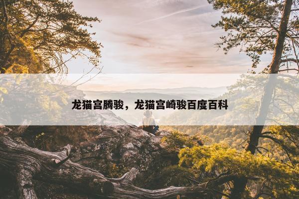 龙猫宫腾骏，龙猫宫崎骏百度百科