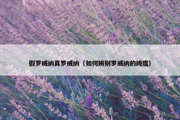 假罗威纳真罗威纳（如何辨别罗威纳的纯度）
