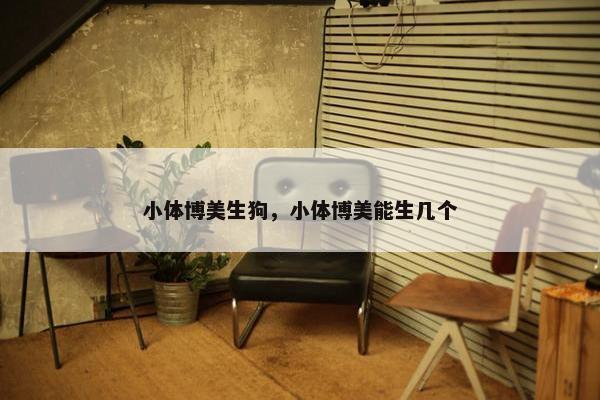 小体博美生狗,小体博美能生几个