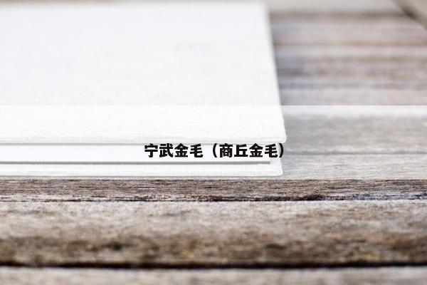 宁武金毛（商丘金毛）