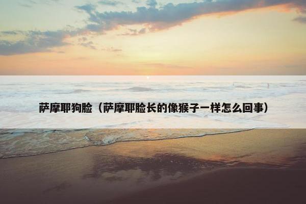 萨摩耶狗脸（萨摩耶脸长的像猴子一样怎么回事）