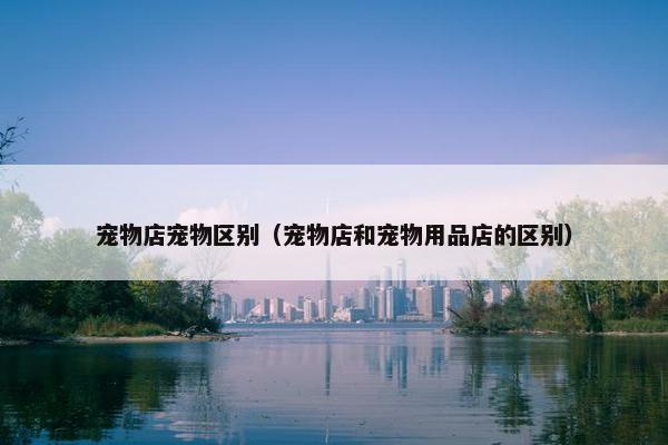 宠物店宠物区别（宠物店和宠物用品店的区别）