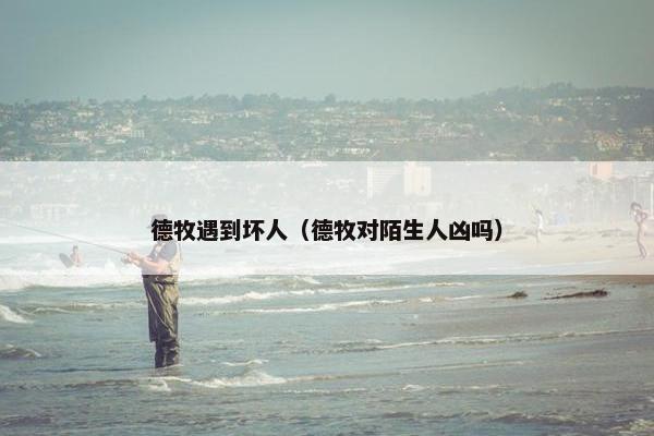 德牧遇到坏人（德牧对陌生人凶吗）