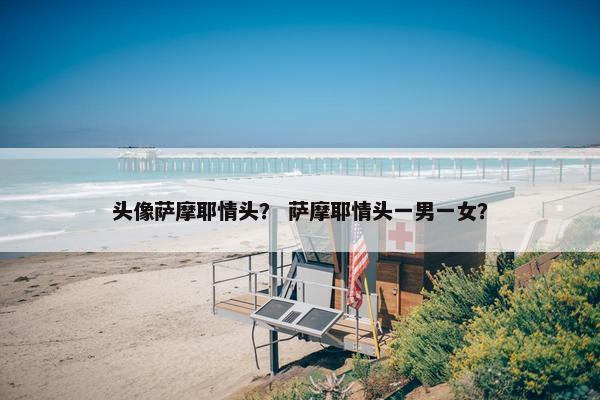 头像萨摩耶情头？ 萨摩耶情头一男一女？